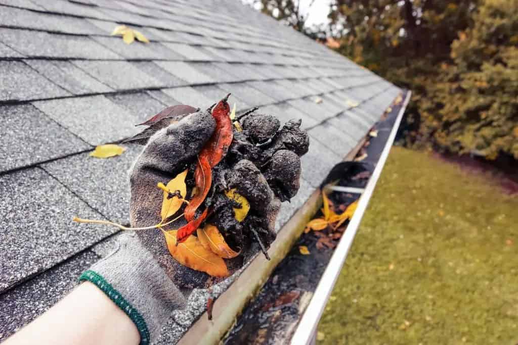 Gutter Cleaning image
