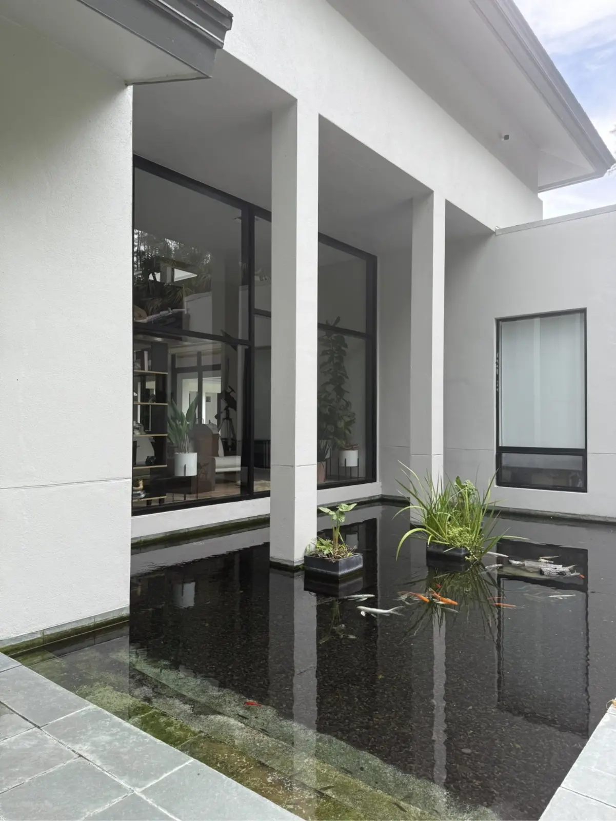 Clean picture windows reflecting a koi pond courtyard after service