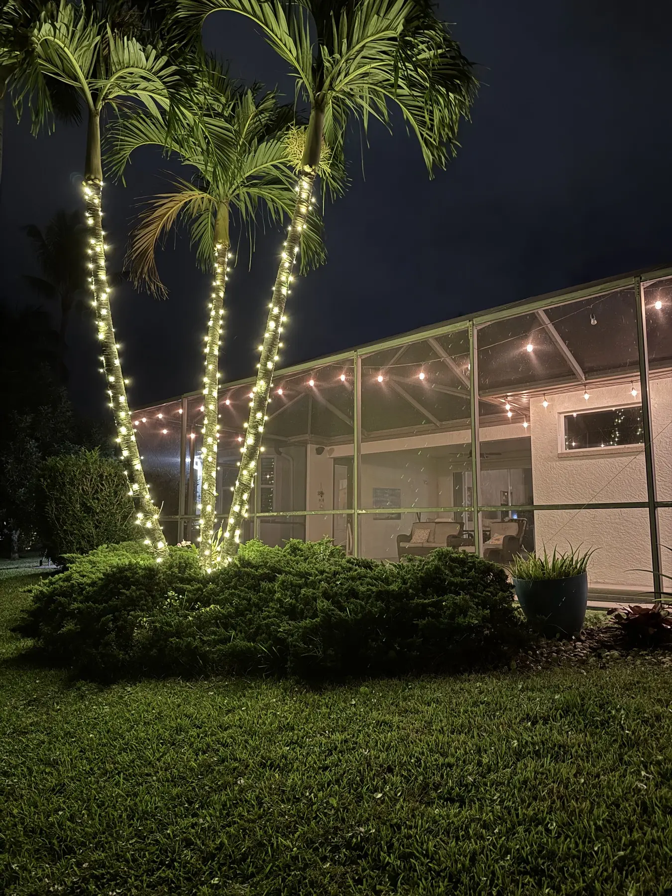 Wrapped palm trunks glowing beside a screened lanai with string lights