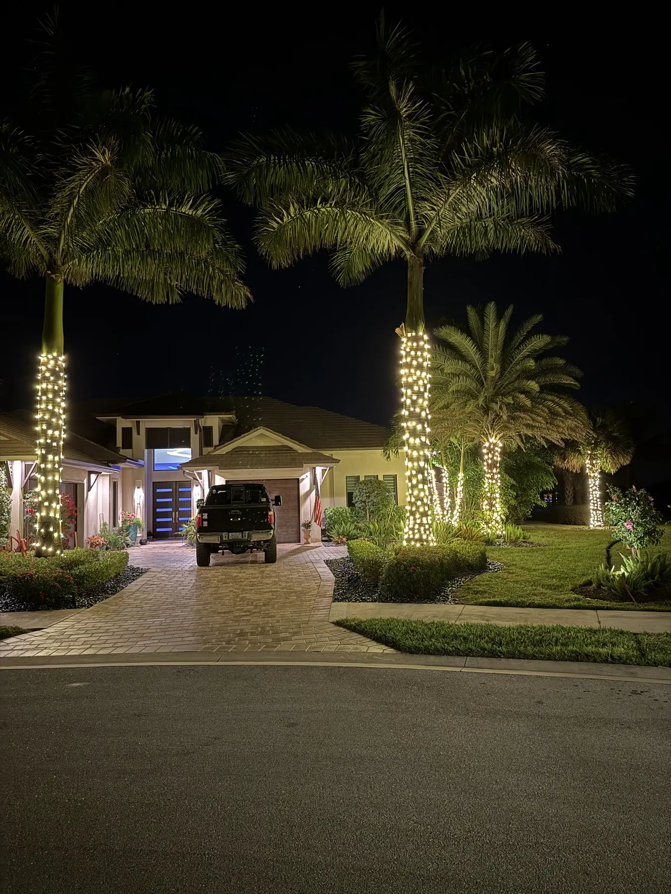 Palm trunks wrapped in warm white Christmas lights over a paver driveway