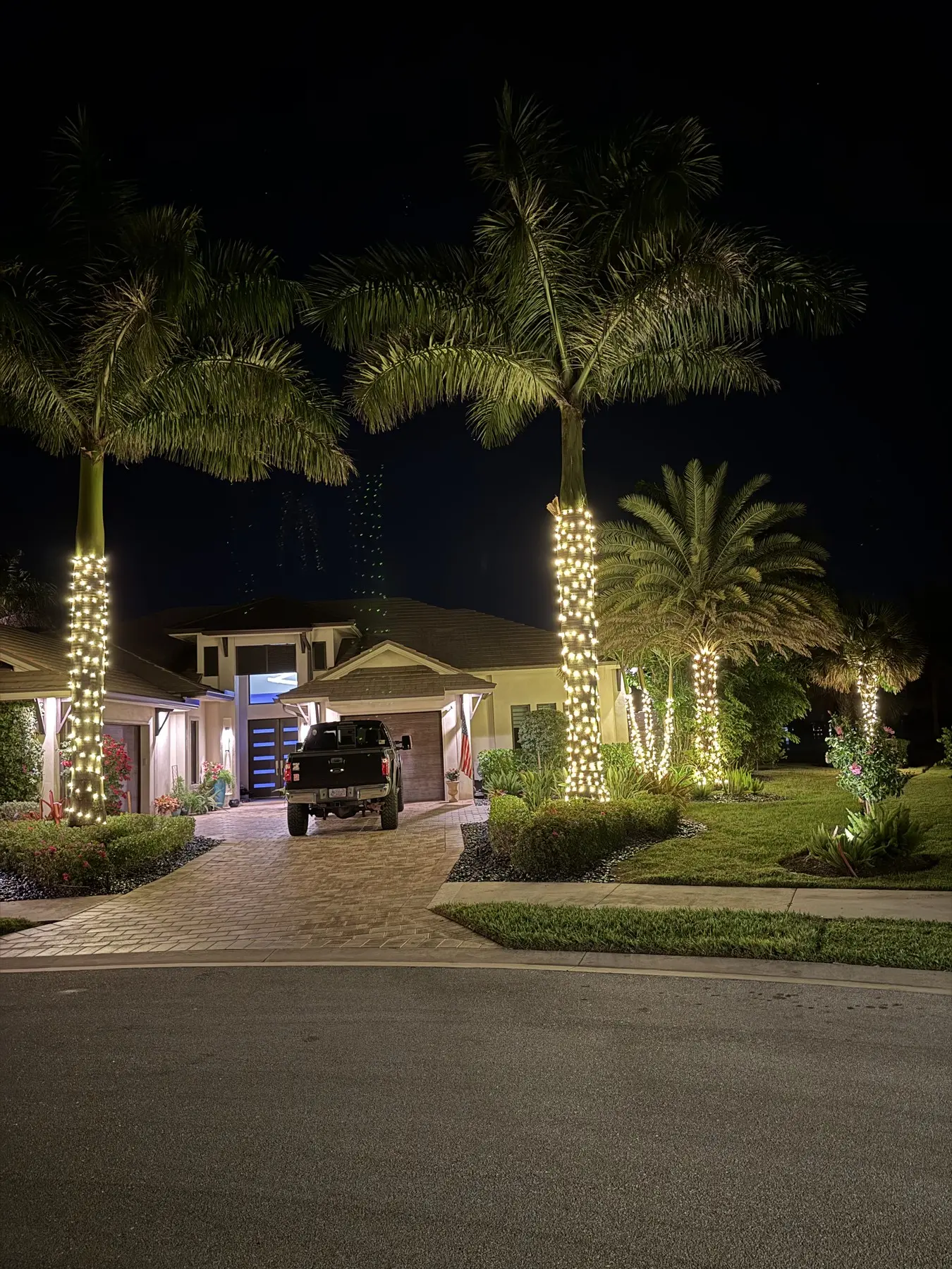 Wrapped palms and lit landscaping along a home's entry drive