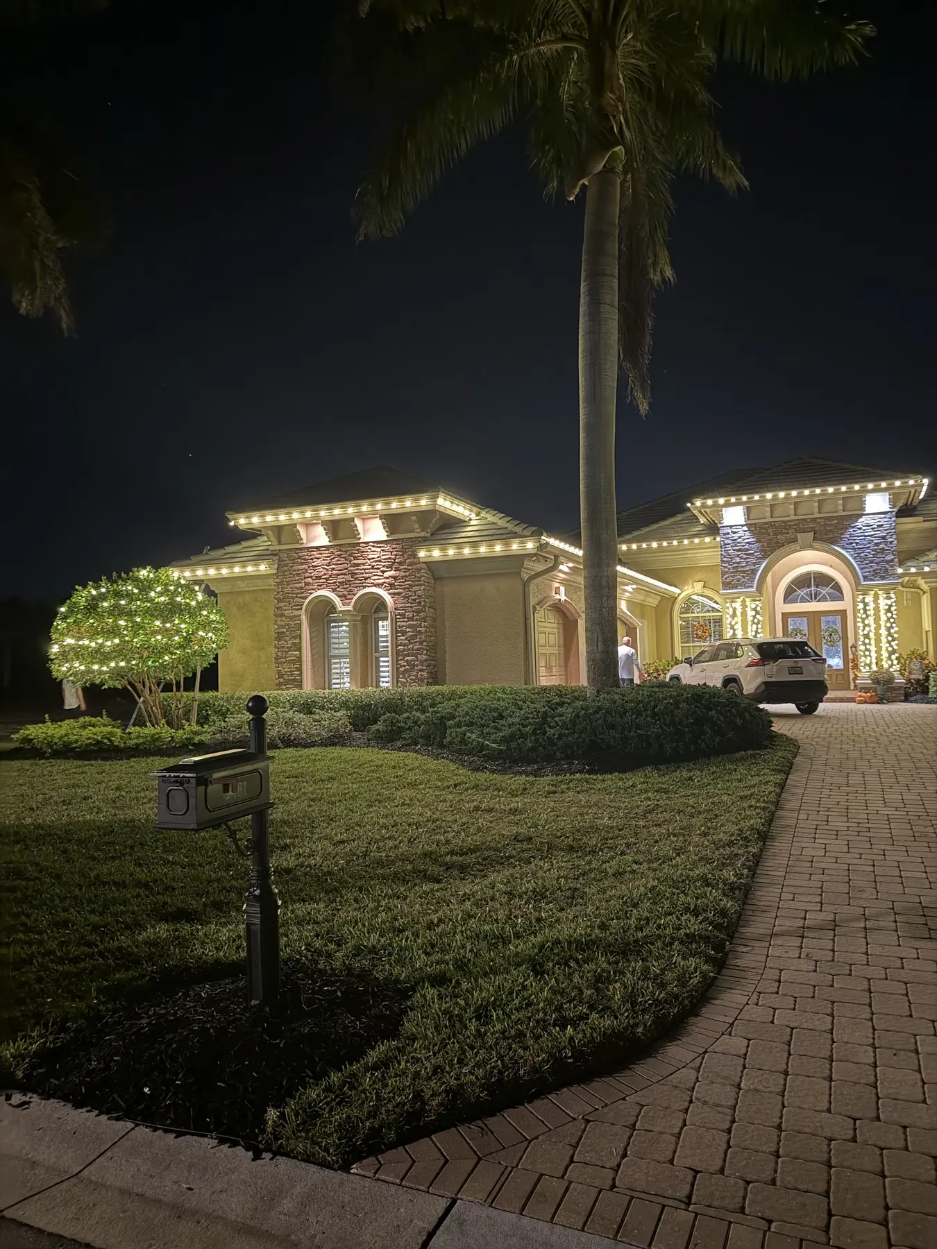 Home with elegant warm white roofline Christmas lighting and a wrapped palm at night